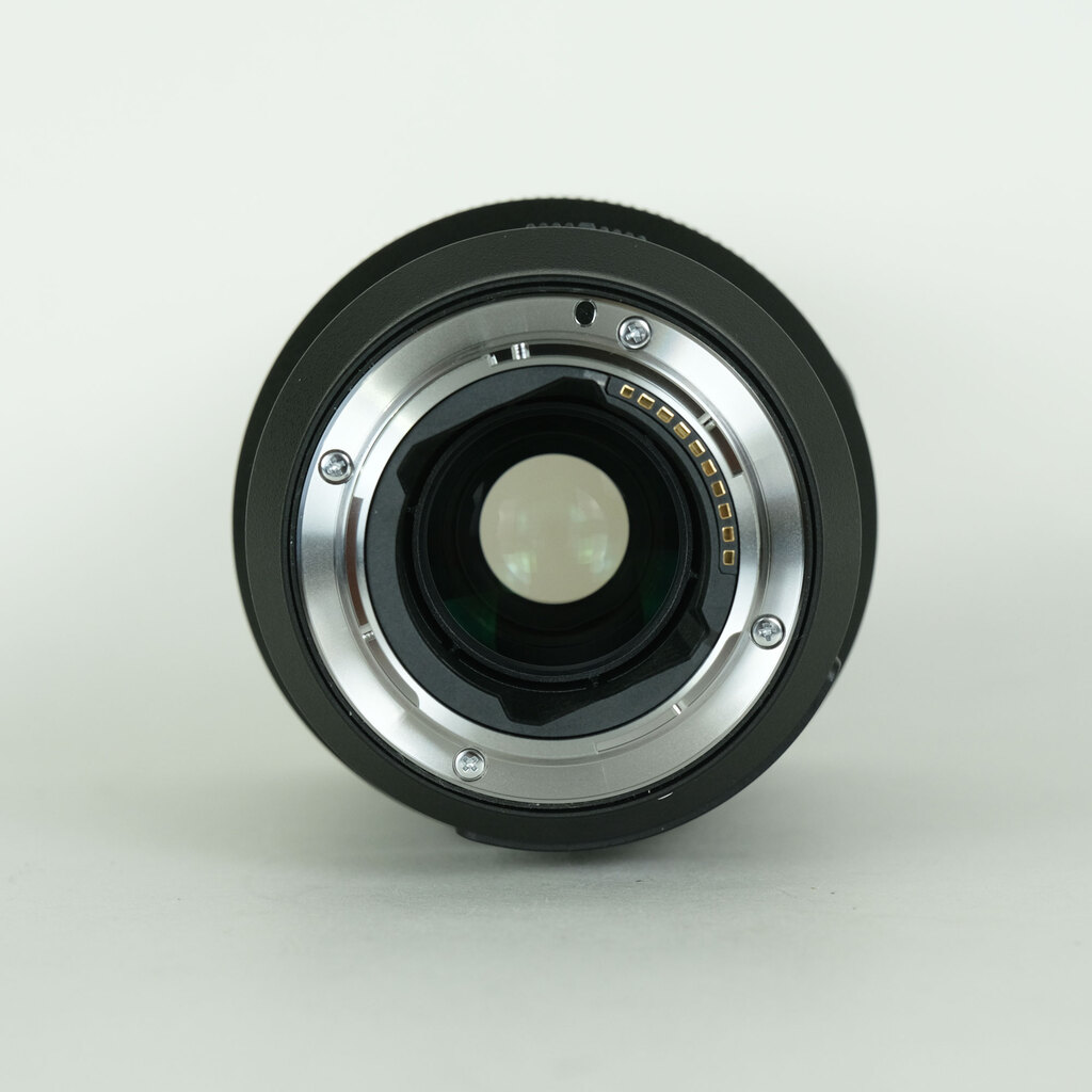 SONY FE 100mm F2.8 Macro GM OSS SEL100M28GM