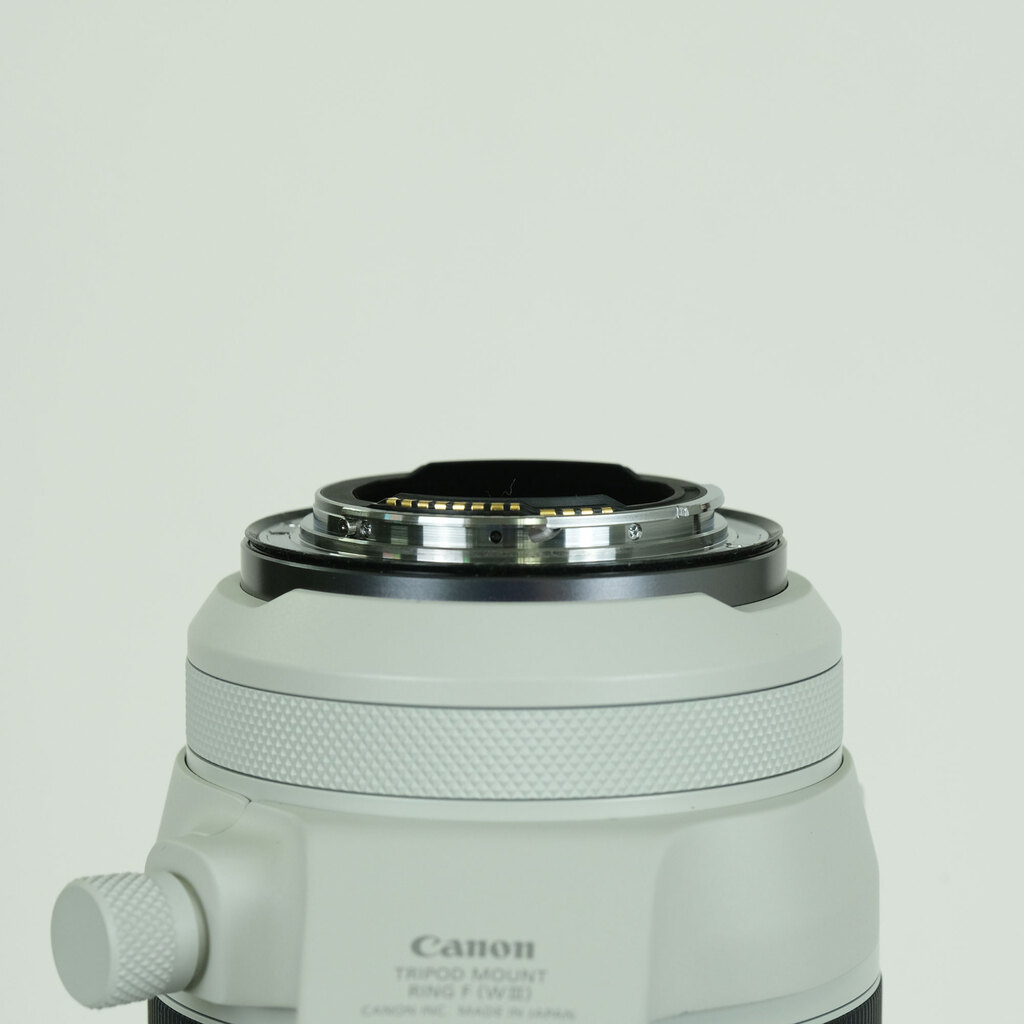 Canon RF100-500mm F4.5-7.1L IS USM