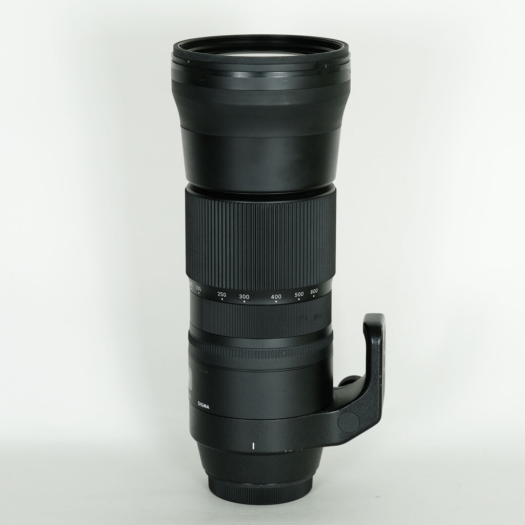 SIGMA 150-600mm F5-6.3 DG OS HSM | Contemporary [キヤノンEF用]