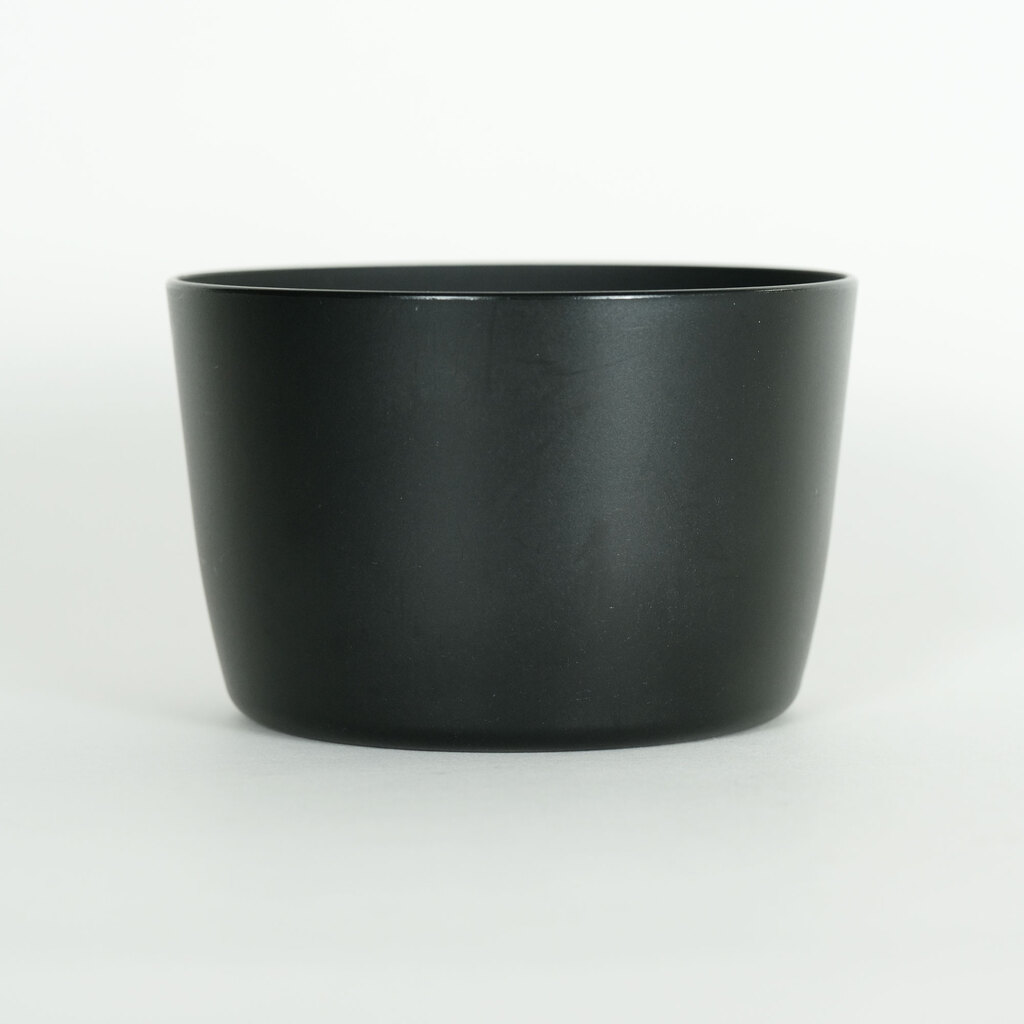 Canon EF-S55-250mm F4-5.6 IS