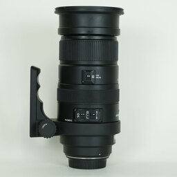 SIGMA APO 50-500mm F4.5-6.3 DG OS HSM (キヤノンEF用)