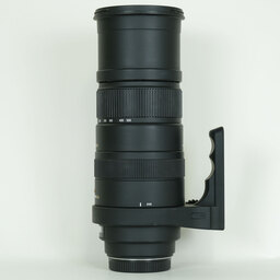 SIGMA APO 150-500mm F5-6.3DG OS HSM (シグマSA用) SIGMA APO 150-500mm F5-6.3DG OS HSM (シグマSA用)