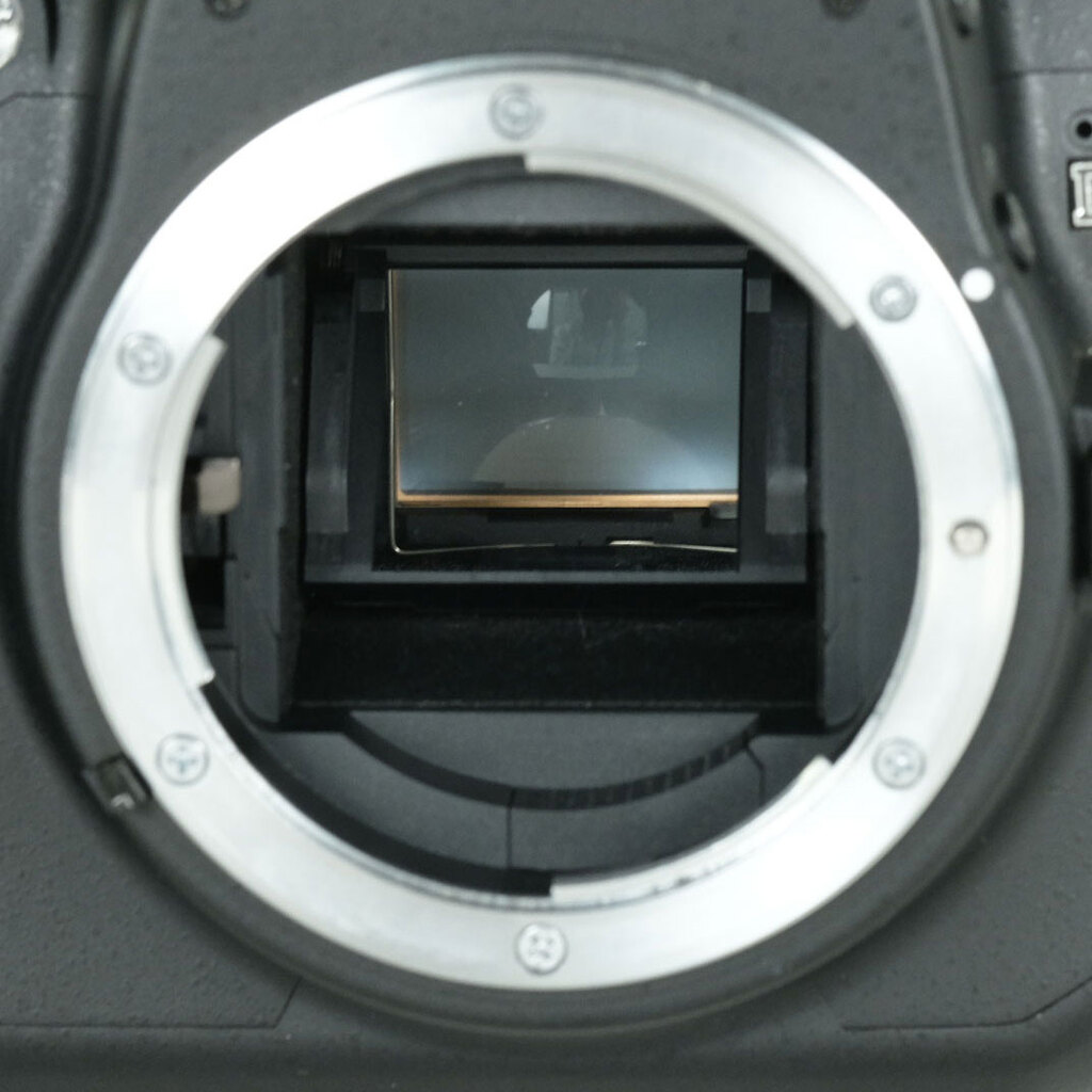 Nikon D5000 ボディ