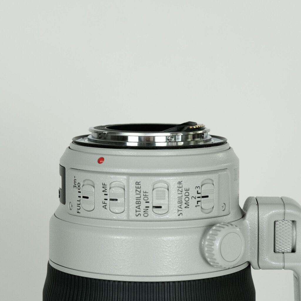Canon EF100-400mm F4.5-5.6L IS II USM
