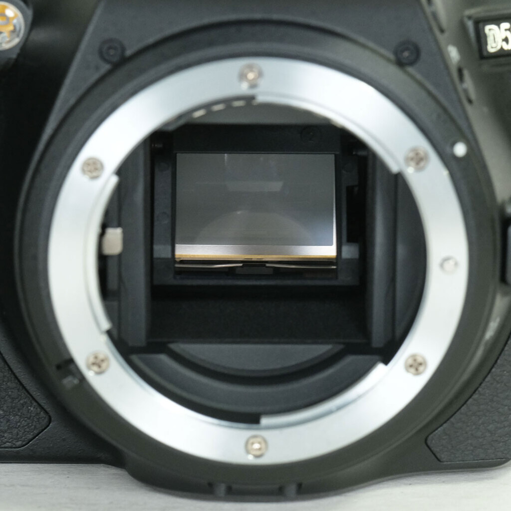 Nikon D5600