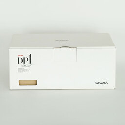 SIGMA DP1 Merrill