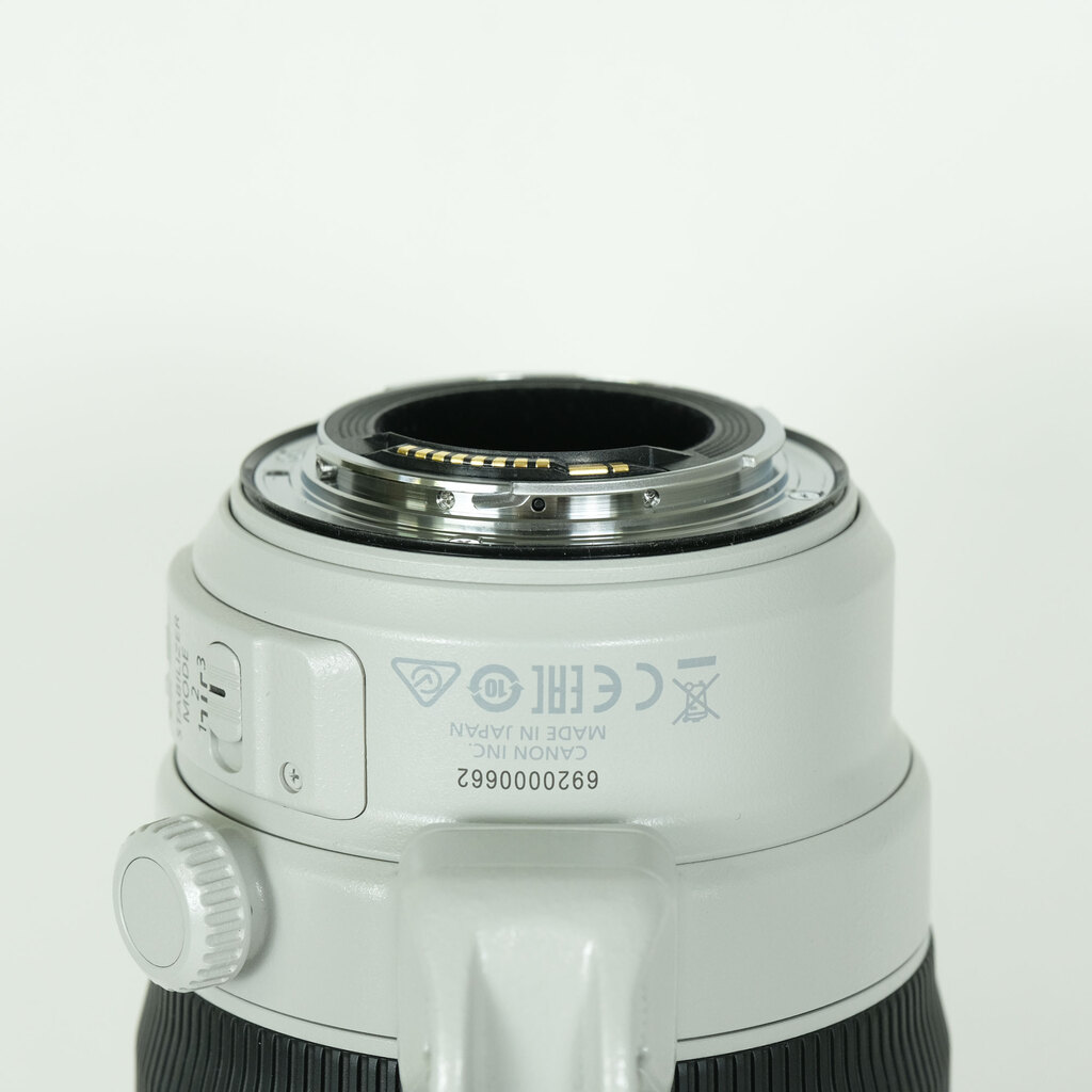 Canon EF100-400mm F4.5-5.6L IS II USM