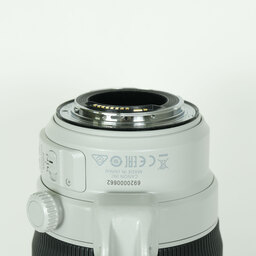 Canon EF100-400mm F4.5-5.6L IS II USM