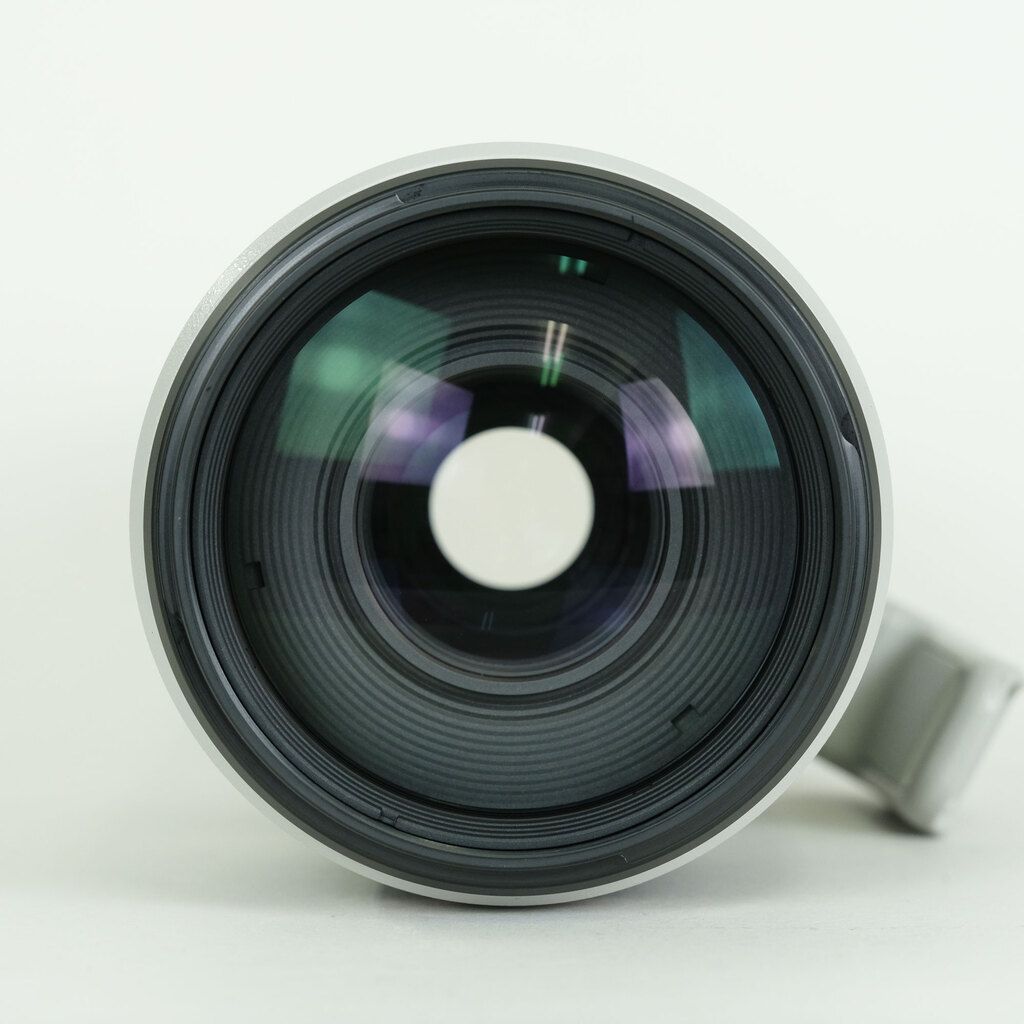 Canon EF100-400mm F4.5-5.6L IS II USM