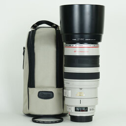 Canon EF100-400mm F4.5-5.6L IS USM