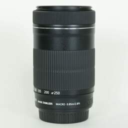 Canon EF-S55-250mm F4-5.6 IS STM