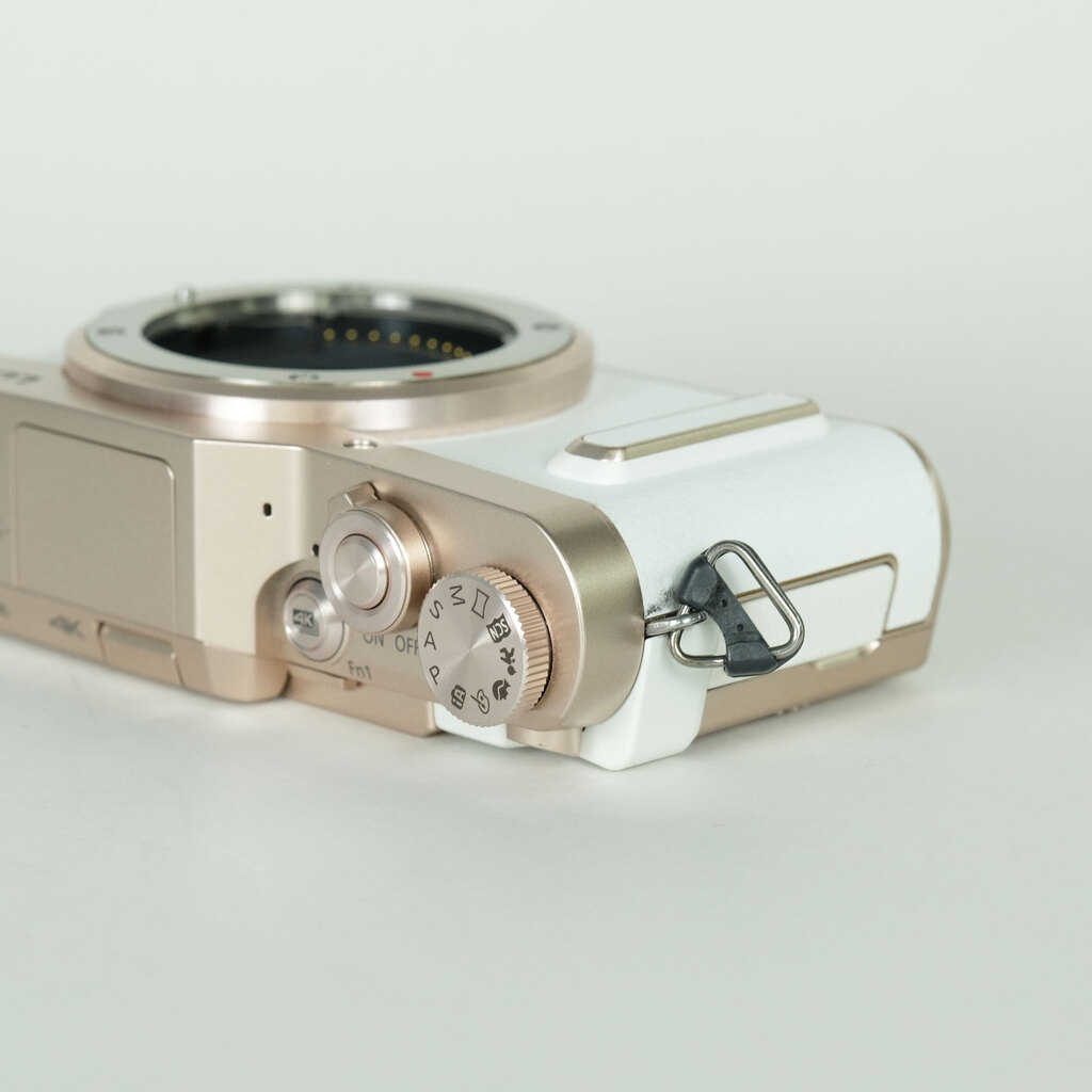 Panasonic LUMIX DC-GF90 ボディ ホワイト