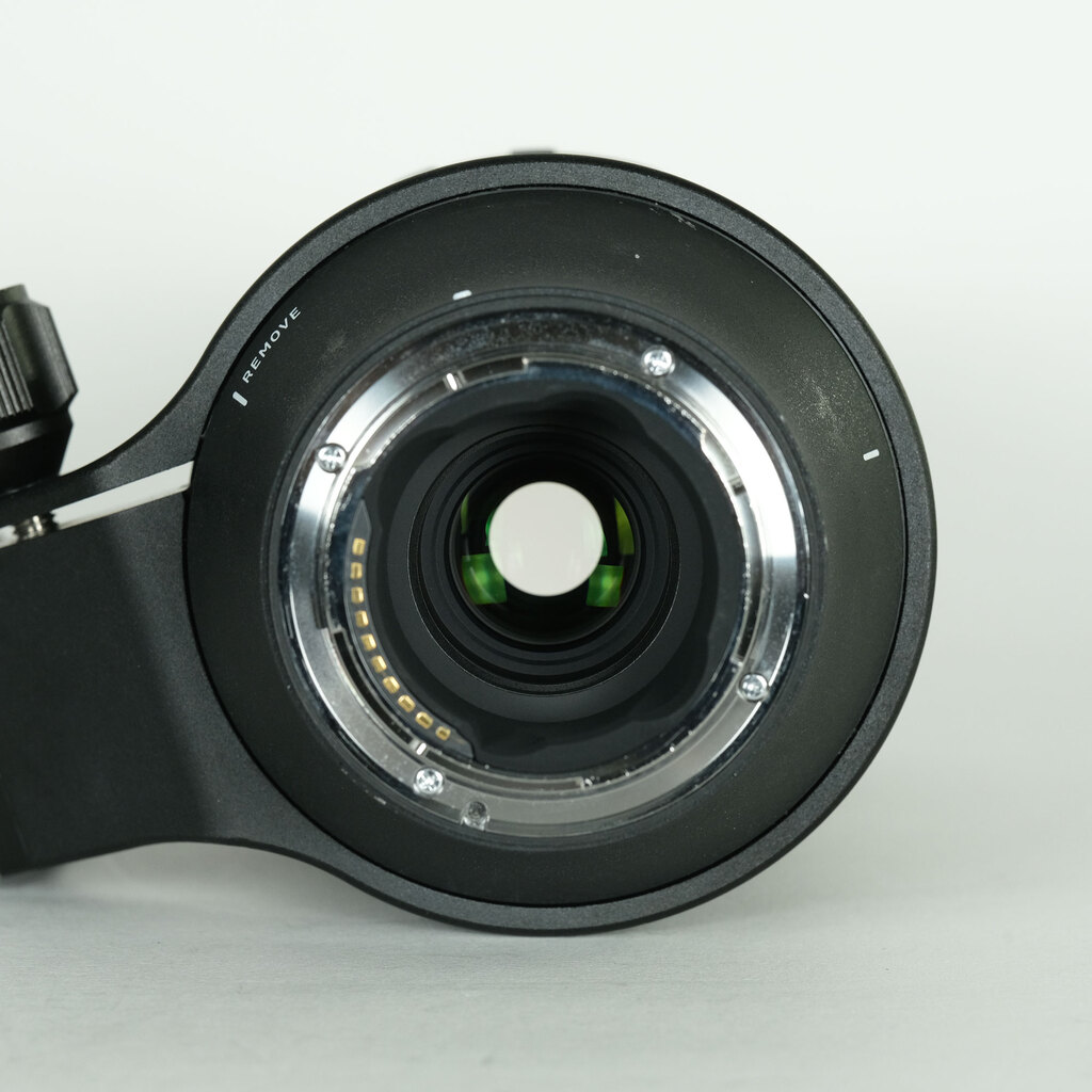 SIGMA 100-400mm F5-6.3 DG DN OS｜Contemporary [ソニーE用]