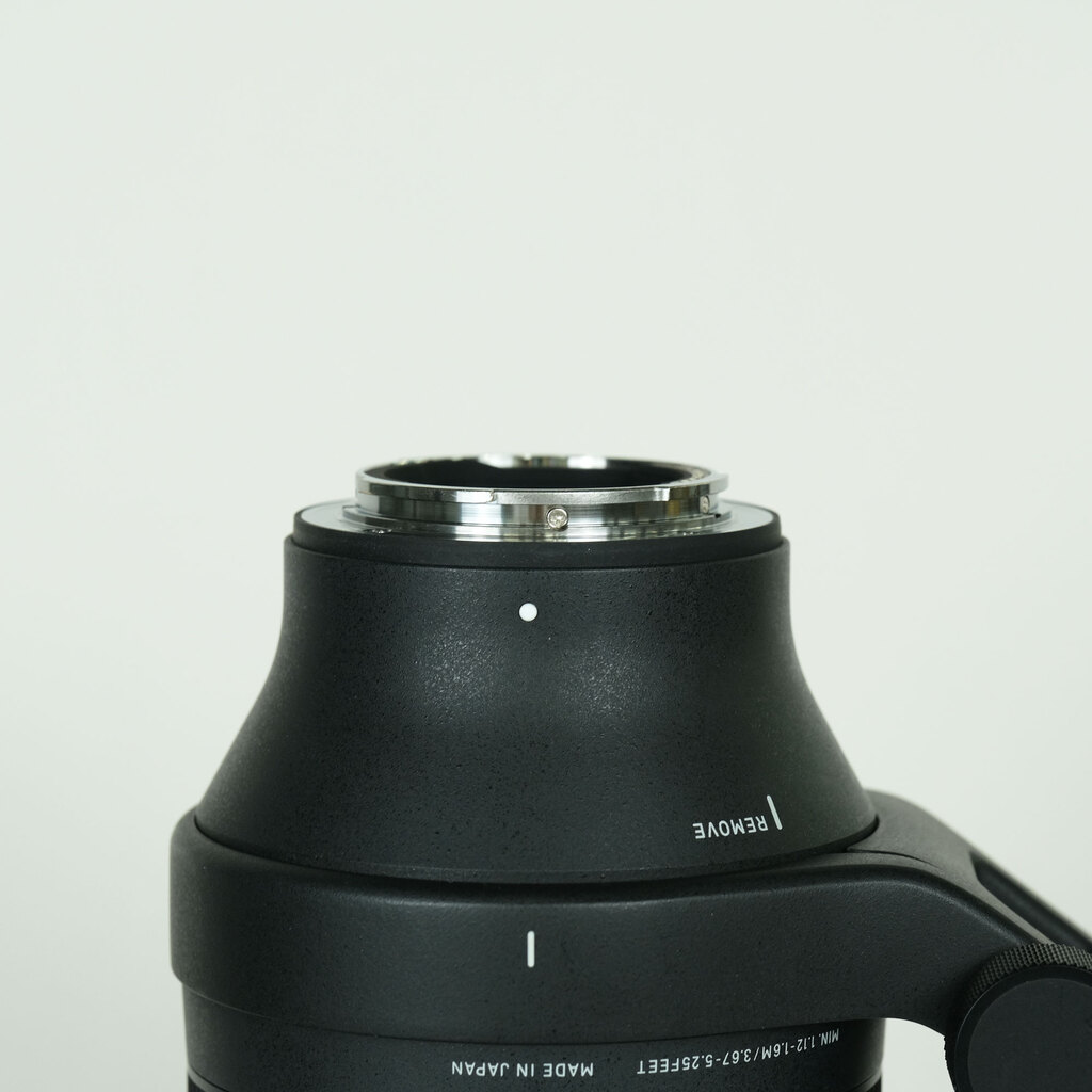 SIGMA 100-400mm F5-6.3 DG DN OS｜Contemporary [ソニーE用]