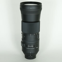 SIGMA 150-600mm F5-6.3 DG OS HSM｜Contemporary [ニコンF用]
