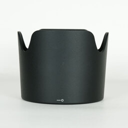 Nikon AF-S VR Zoom-Nikkor 70-300mm F4.5-5.6G IF-ED