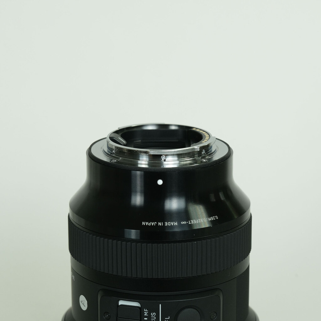 SIGMA 14-24mm F2.8 DG DN｜Art [ソニーE用]