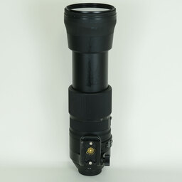 SIGMA 150-600mm F5-6.3 DG OS HSM｜Contemporary [ニコンF用]