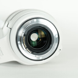 Canon RF100-500mm F4.5-7.1L IS USM