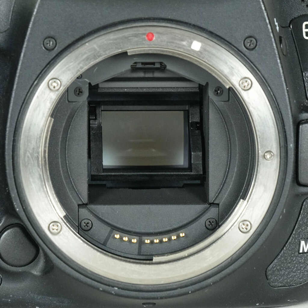 Canon EOS 7D Mark IIの出品 | ONE SCENE（ワンシーン）