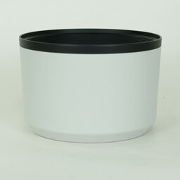 Canon RF70-200mm F2.8 L IS USM