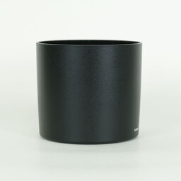 Canon EF100mm F2.8Lマクロ IS USM