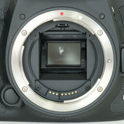 Canon EOS 7D Mark II