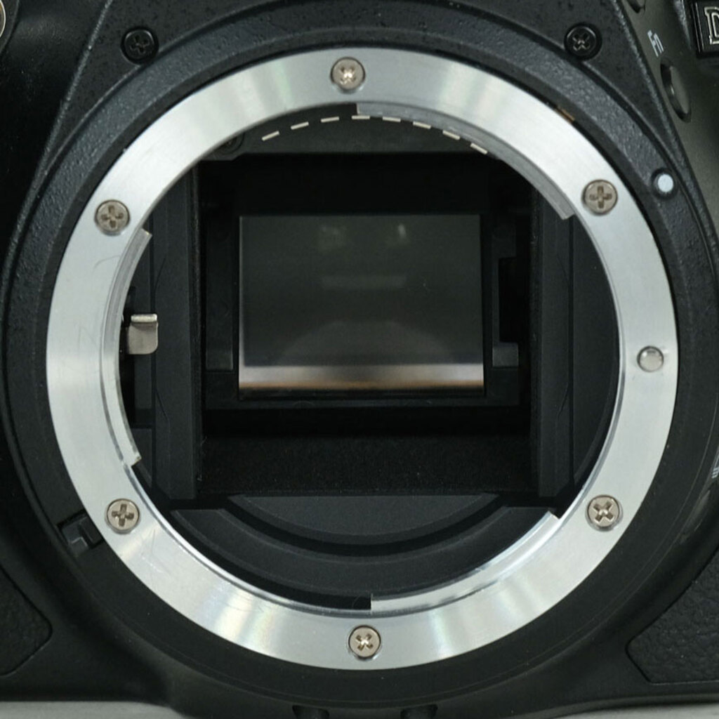 Nikon D5600