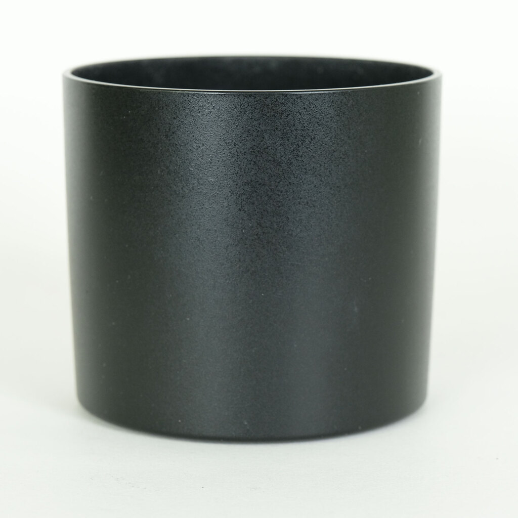 Canon EF100mm F2.8Lマクロ IS USM