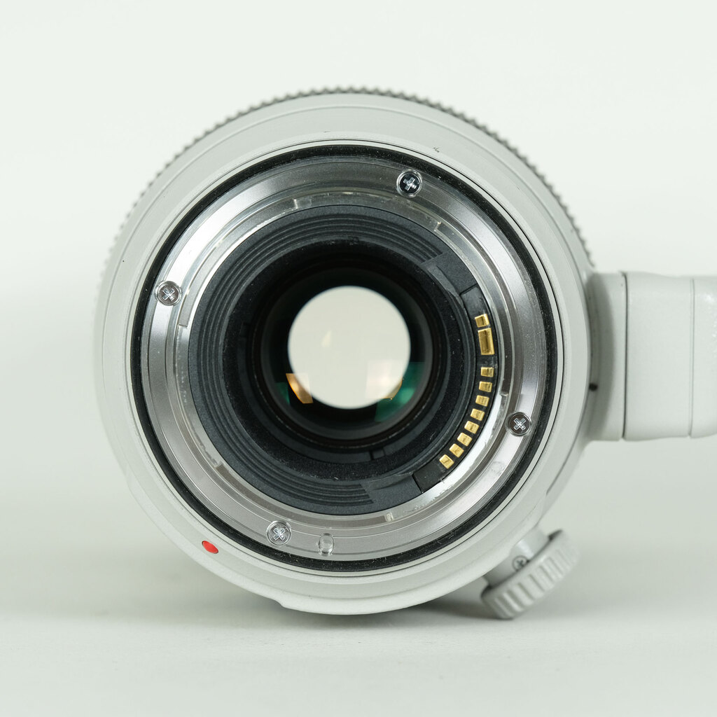 Canon EF100-400mm F4.5-5.6L IS II USM