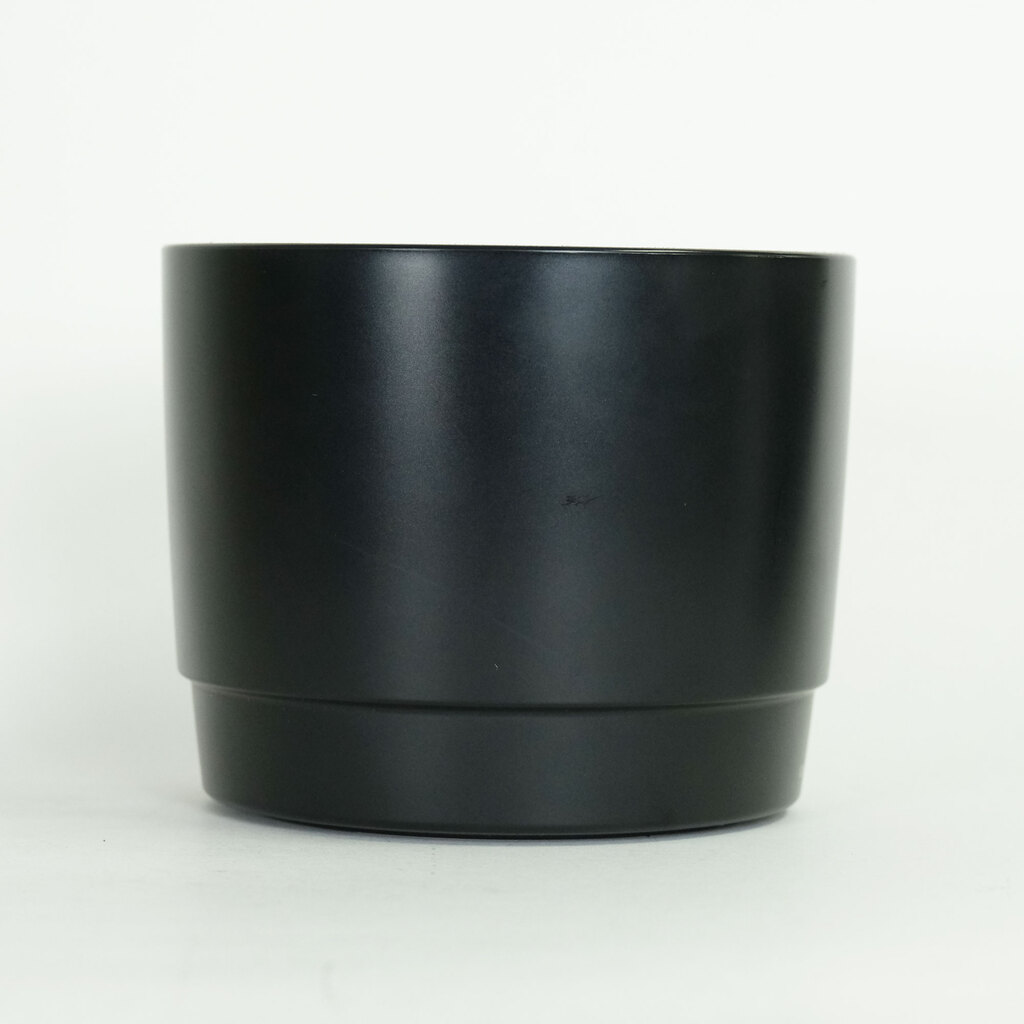 Canon EF100-400mm F4.5-5.6L IS USM