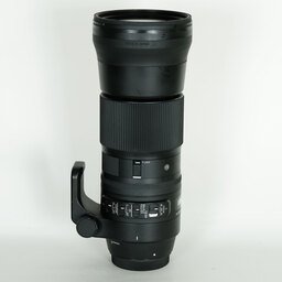 SIGMA 150-600mm F5-6.3 DG OS HSM | Contemporary [キヤノンEF用]