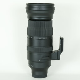 SIGMA 150-600mm F5-6.3 DG DN OS｜Sports [ソニーE用]