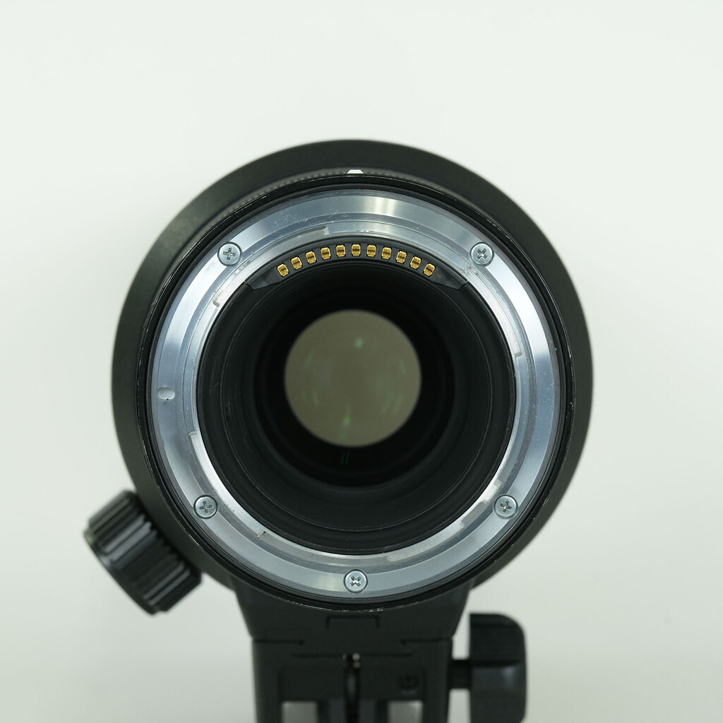 Nikon NIKKOR Z 70-200mm f/2.8 VR S