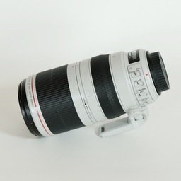 Canon EF100-400mm F4.5-5.6L IS II USM
