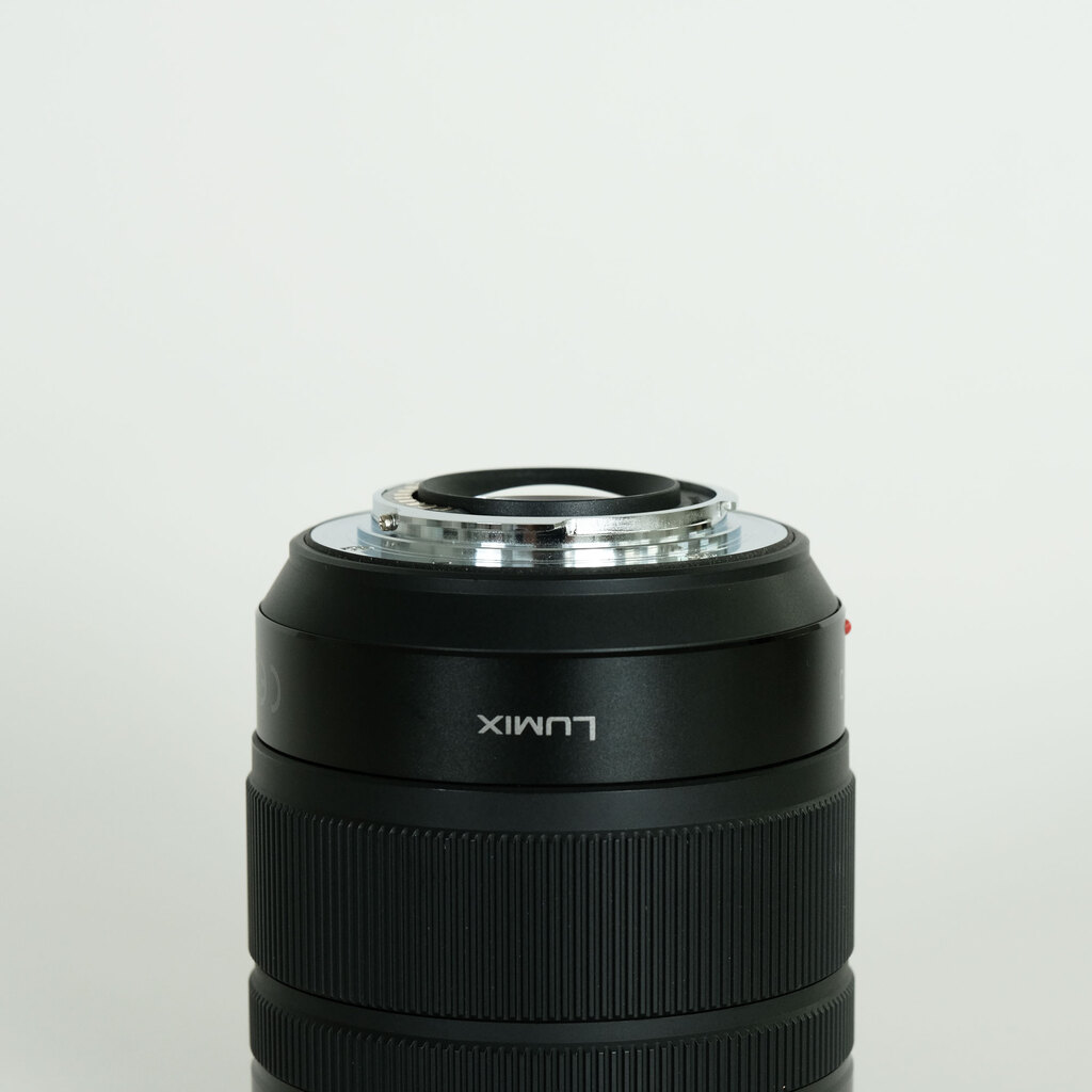 Panasonic LUMIX G VARIO 12-60mm / F3.5-5.6 ASPH. / POWER O.I.S.