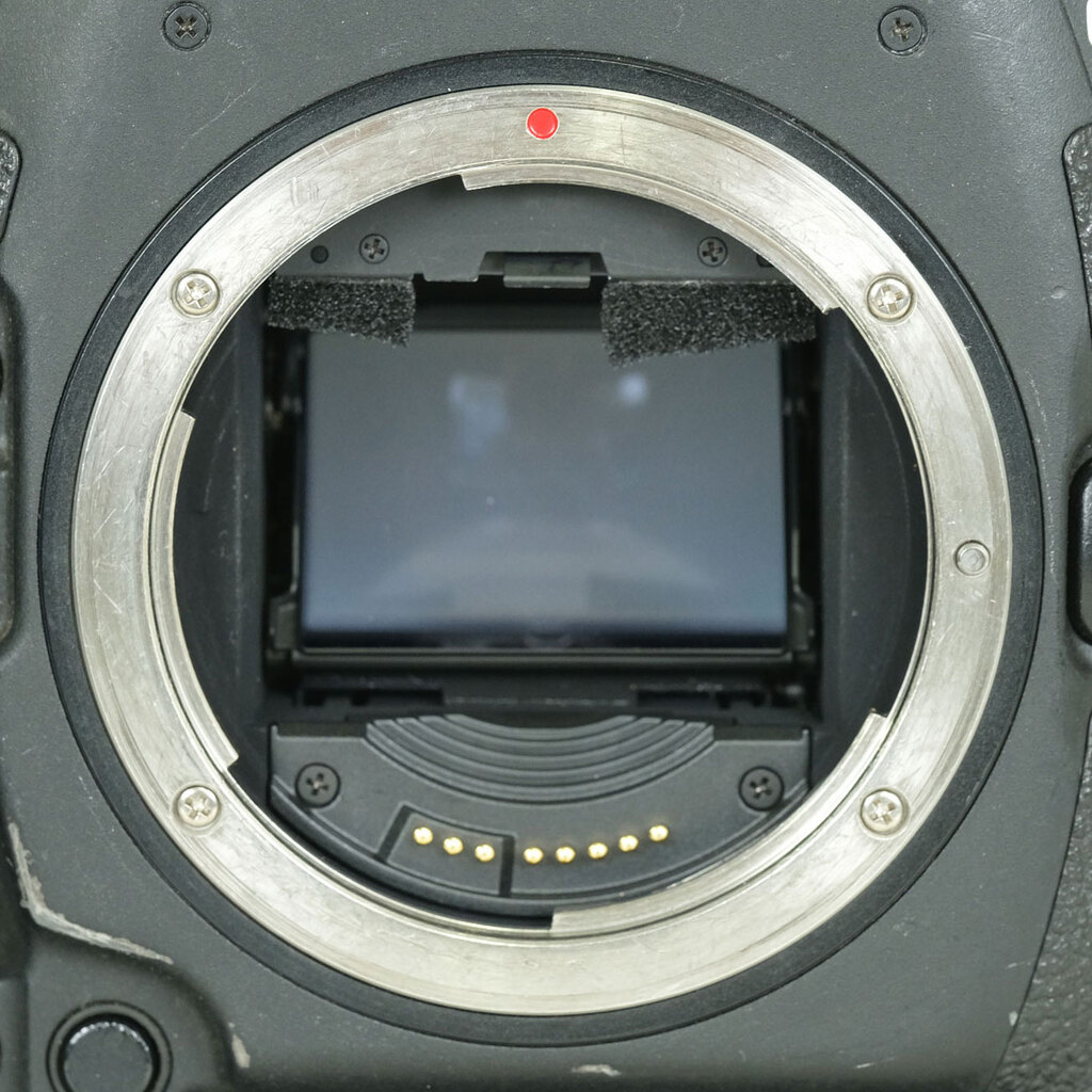 Canon EOS-1D X Mark II