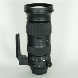 SIGMA 60-600mm F4.5-6.3 DG OS HSM | Sports [キヤノン用]