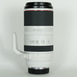 Canon RF100-500mm F4.5-7.1L IS USM