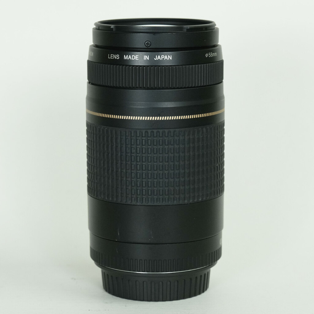 Canon EF75-300mm F4-5.6 II USM