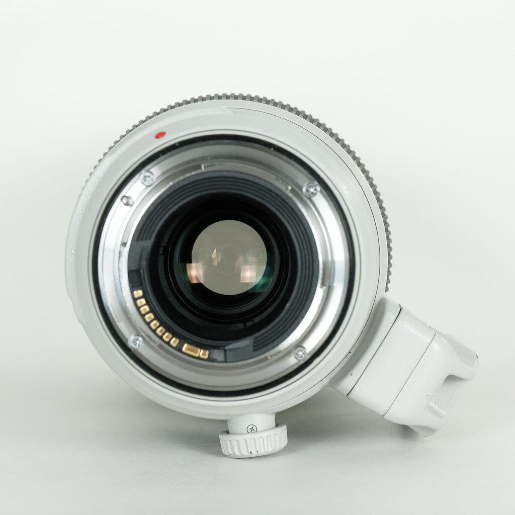 Canon EF100-400mm F4.5-5.6L IS II USM