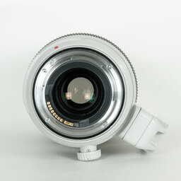 Canon EF100-400mm F4.5-5.6L IS II USM