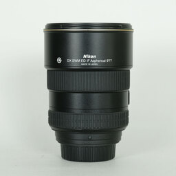 Nikon AF-S DX Zoom-Nikkor 17-55mm f/2.8G IF-ED