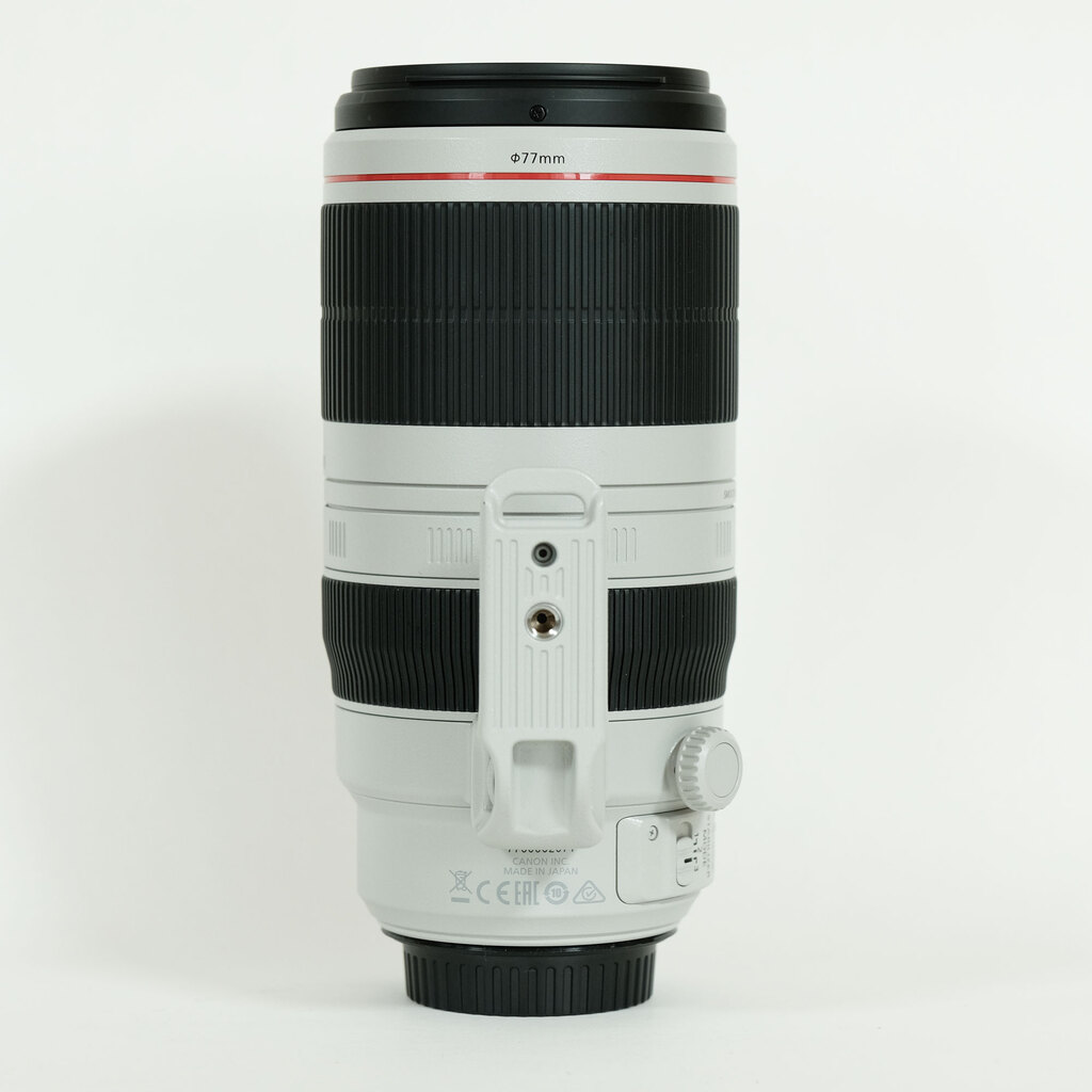Canon EF100-400mm F4.5-5.6L IS II USM