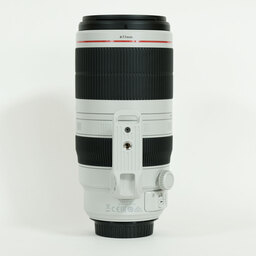 Canon EF100-400mm F4.5-5.6L IS II USM