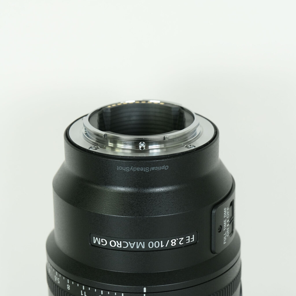 SONY FE 100mm F2.8 Macro GM OSS SEL100M28GM