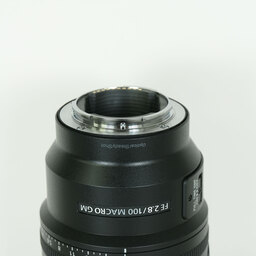 SONY FE 100mm F2.8 Macro GM OSS SEL100M28GM