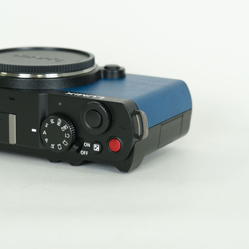 Panasonic LUMIX DC-S9