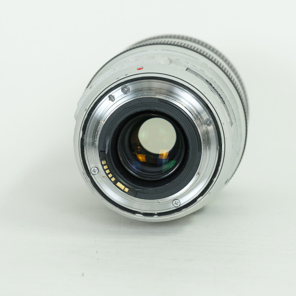 Canon EF70-300mm F4-5.6L IS USM