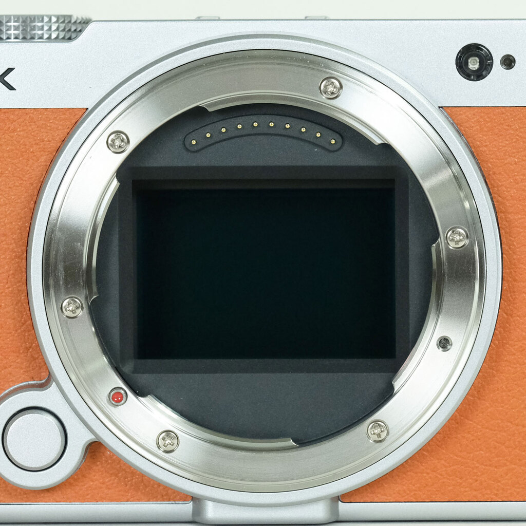 Panasonic LUMIX DC-S9 Panasonic LUMIX DC-S9